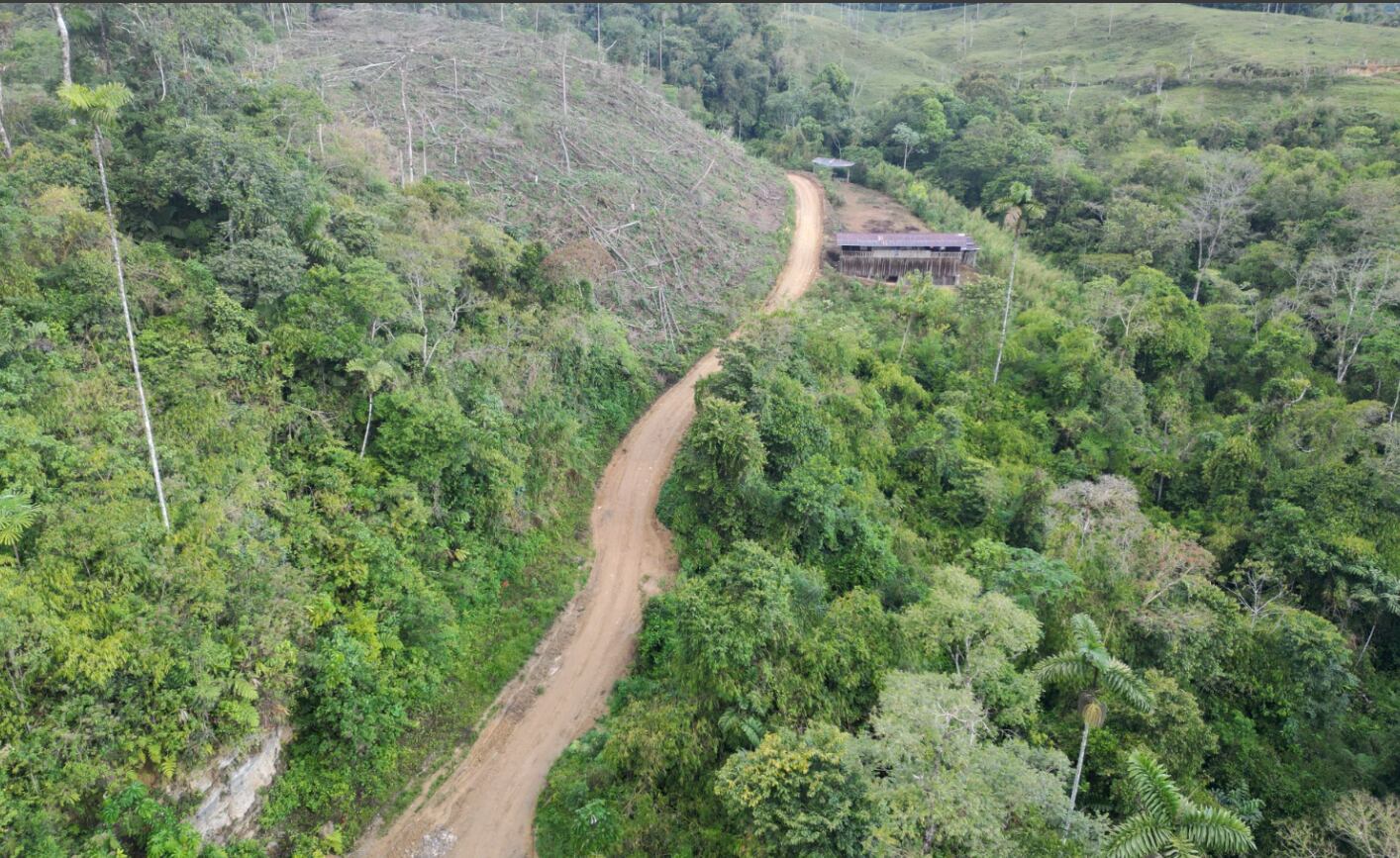 INICIAN CONTRUCCIÒN DE NUEVA CARRETERA VECINAL MAJONTONI – VALLE DE NAZARATEGUI DISTRITO DE PÚERTO BERMUDEZ EN PASCO