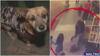 ​Sujeto golpeó salvajemente a perrito de nueve años y podría perder la vista (VIDEO)