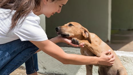 Sismo en Lima: 6 de cada 10 limeños priorizarían a sus mascotas al evacuar