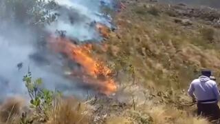 Cuatro incendios forestales en la sierra de Piura: pobladores piden apoyo urgente