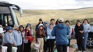 Arequipa: Los guardianes de la queñua apuntan a reforestar la ciudad
