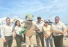 Pisco: San Andrés será sede de feria por el Día Mundial de Las Tortugas Marinas