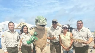 Pisco: San Andrés será sede de feria por el Día Mundial de Las Tortugas Marinas