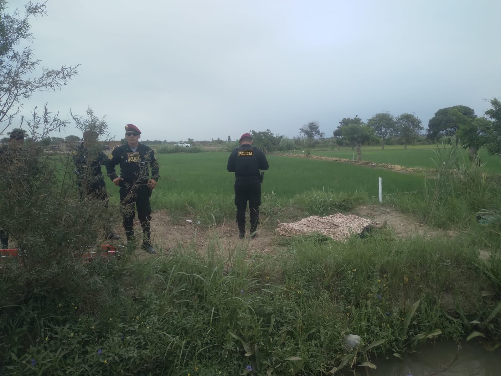 Autoridades investigan si hubo negligencia en los que administran la corriente en la zona