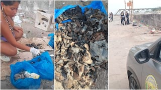 Ica: por cuarta vez hallan restos de perros sacrificados y alertan riesgo para la salud pública