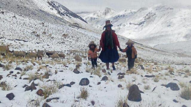 Arequipa: Zonas altoandinas de Caylloma bajo cero por heladas