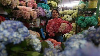 Día de la Madre: Miles acuden al mercado de flores de Piedra Liza en el Rímac