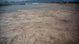 México: Derrame de hidrocarburos mancha y contamina playas en estado de Oaxaca
