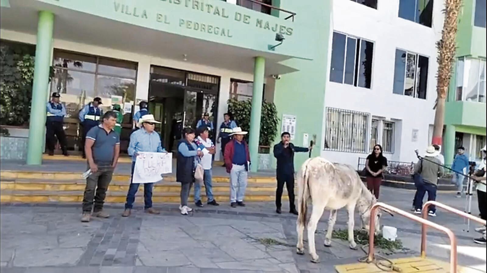 Llevan burro para sacar a alcalde de Majes. Foto: Difusión.