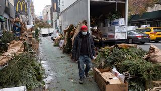 Nueva York recoge miles de árboles de navidad abandonados en las calles