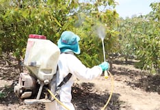 ¿Son seguros los plaguicidas? Mitos y realidades sobre su uso en frutas y verduras