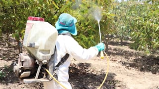 ¿Son seguros los plaguicidas? Mitos y realidades sobre su uso en frutas y verduras