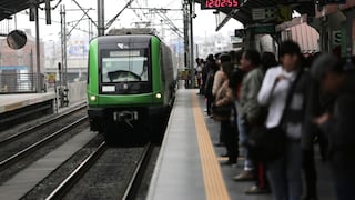 Perro sin hogar cae a rieles del Metro de Lima y tren eléctrico lo arrolla tras esperar 30 minutos