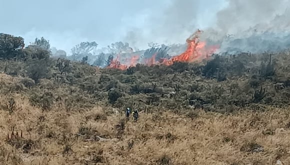 Incendio forestal arrasó más de  mil 500 hectáreas (Foto: Difusión)