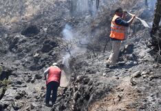 Incendio forestal en Arequipa: 19 hectáreas afectadas en provincia de Castilla