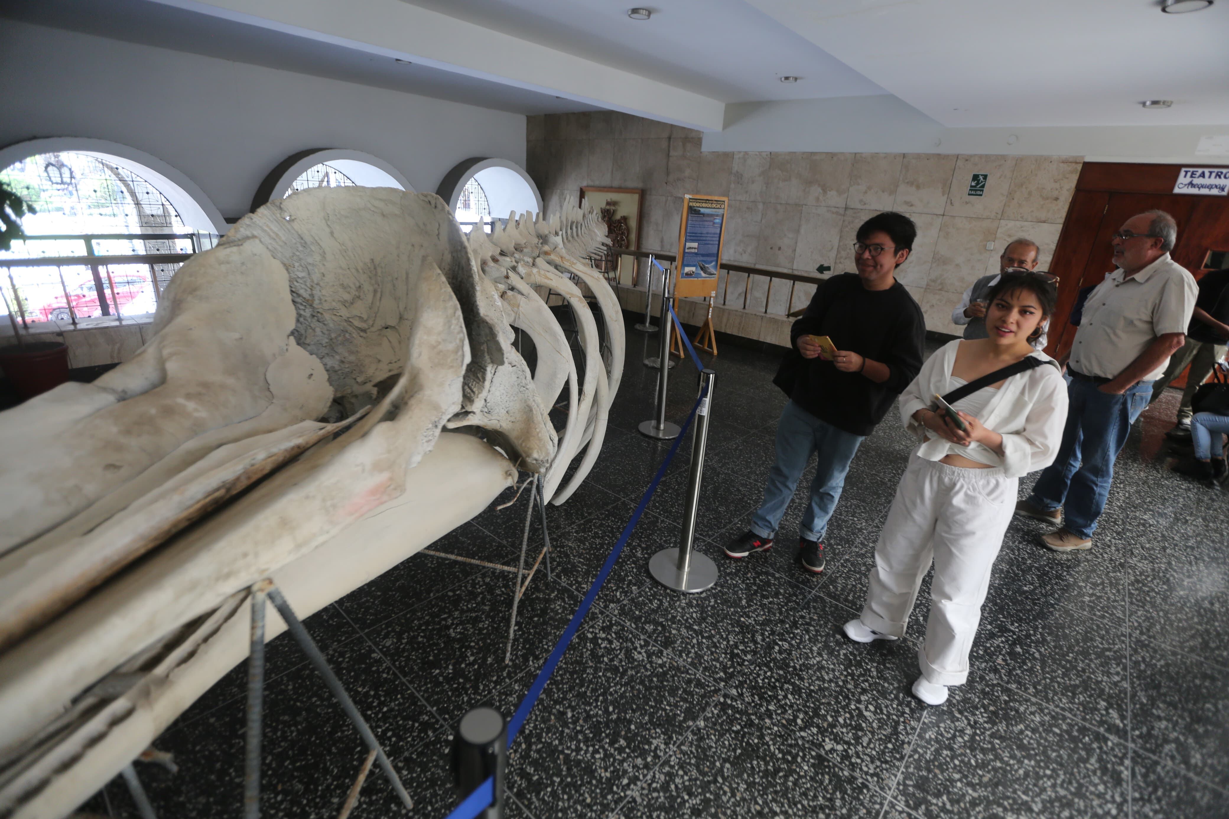 Exposición para promover la protección del ecosistema marino en el marco del Día Mundial de los Mares. (Foto: Leonardo Cuito)