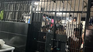 Ica: condenas en aumento y cárceles al borde del colapso