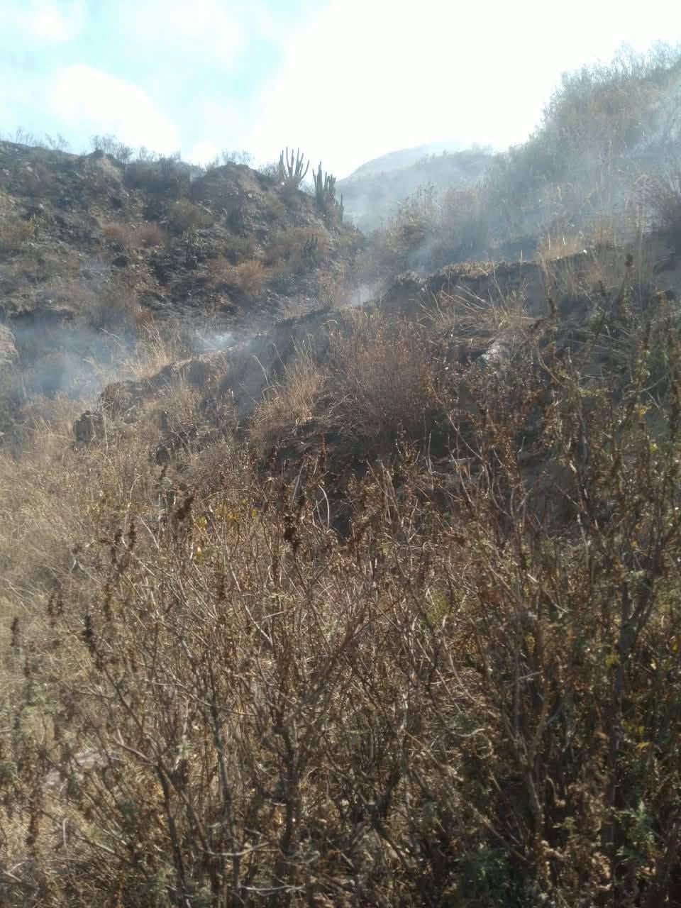 Incendio forestal en alrededores del complejo arqueológico Uyo Uyo, en Yanque, Caylloma (Arequipa). Foto: COER.
