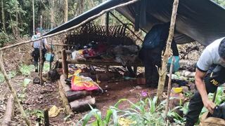 En la provincia de Leoncio Prado destruyen campamentos de madereros ilegales