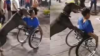 Perro empuja silla de ruedas de niño que perdió ambas piernas (VIDEO)