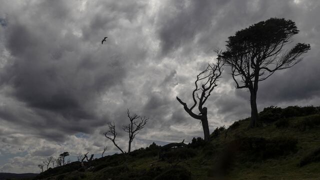 Chile declara por primera vez “alerta por sequía” la región austral de Magallanes