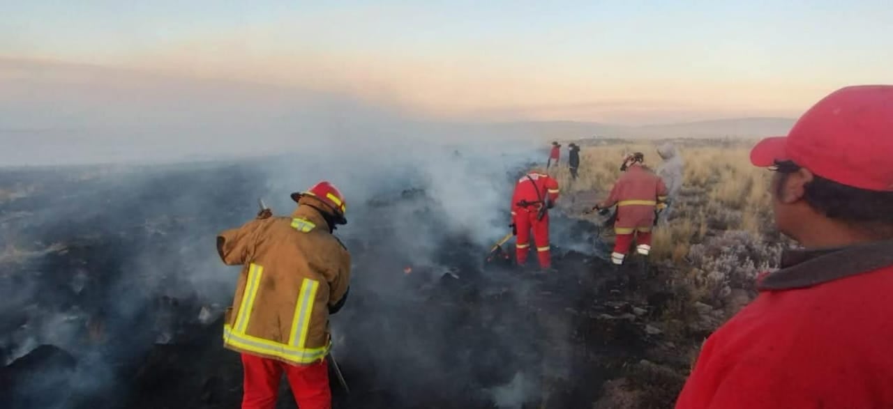 La emergencia se registró en sectores de Tiquillaca y Totorani, en Puno. Una mujer de 80 años murió alcanzada por el fuego y su pareja sufrió severas quemaduras.