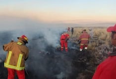 Mujer de 80 años fallece tras un incendio forestal en Puno