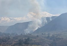 Arequipa: Incendio forestal en Pampacolca y pobladores tratan de controlarlo