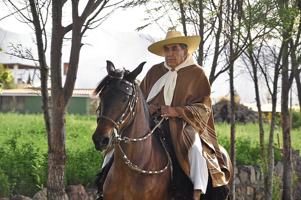 Se mostrarán los mejores ejemplares de Arequipa. Foto: GEC.