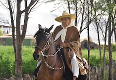 Caballos de paso por el aniversario de Arequipa