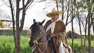 Caballos de paso por el aniversario de Arequipa