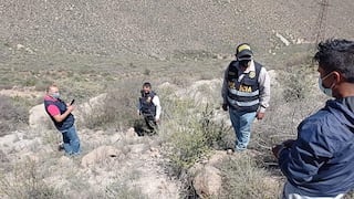 Corte Suprema ratifica cadena perpetua contra hombre que mató a su expareja y a sus dos hijas en Arequipa