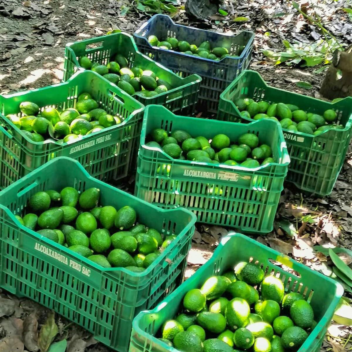 A falta de agua exigen al Prider la construcción de una represa.