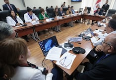 Congreso plantea coordinación con colegios profesionales ante retos del sector Salud