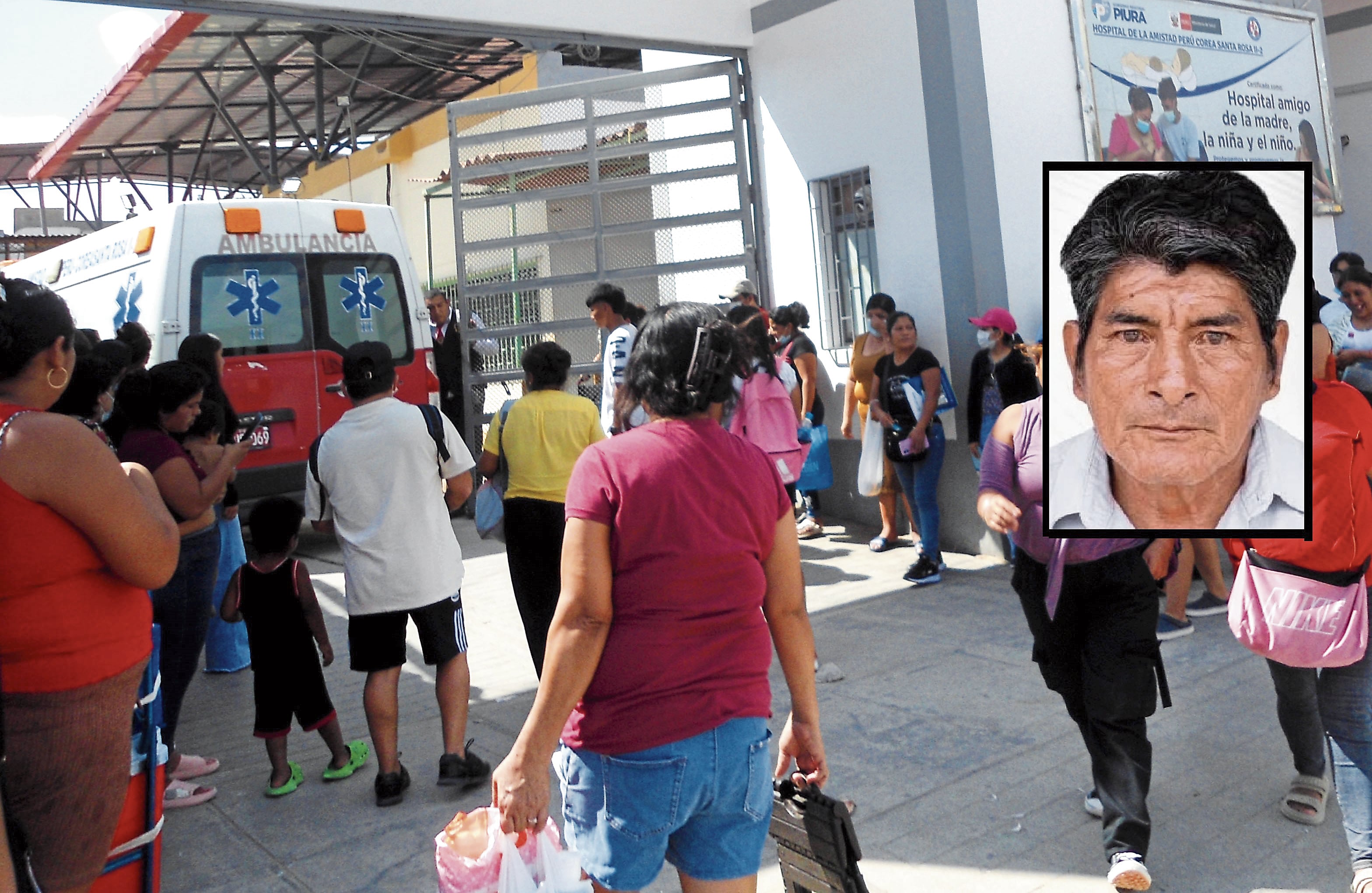 Enjambre de abejas mata a un anciano de 77 años en Piura