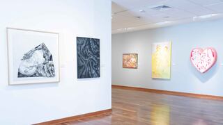 Nuevas propuestas del dibujo contemporáneo se exhiben en la Galería John Harriman
