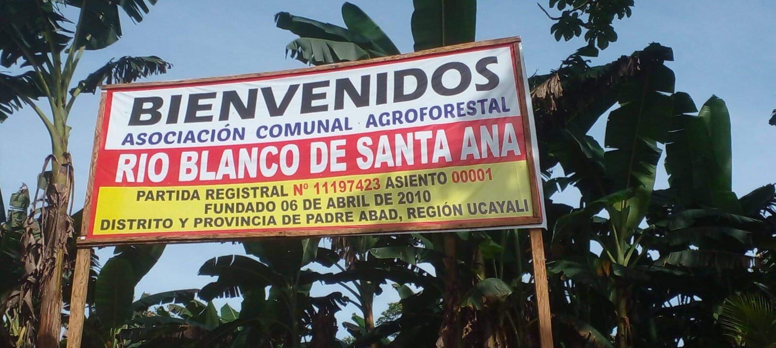 Informe sobre crimen organizado.