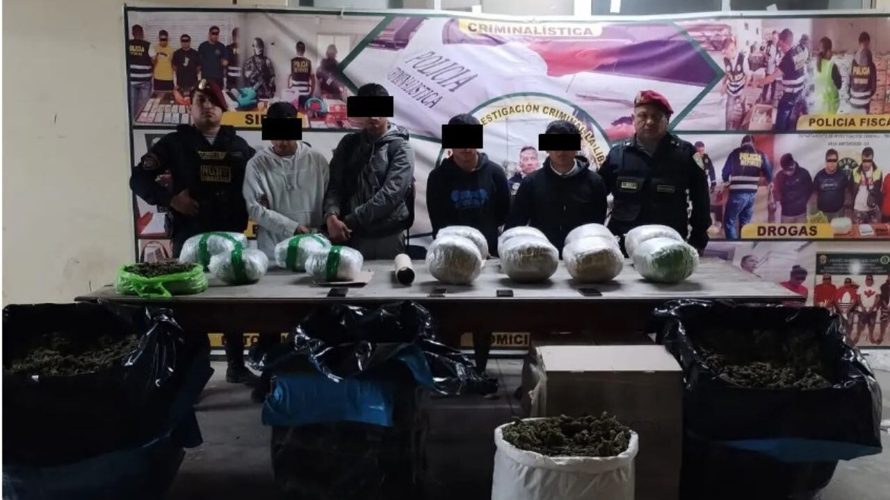 El estupefaciente estaba camuflado en cajas de cartón que estaban en la tolva del vehículo. Ilegal mercadería venía desde Pataz con destino a Trujillo. (Foto: PNP)