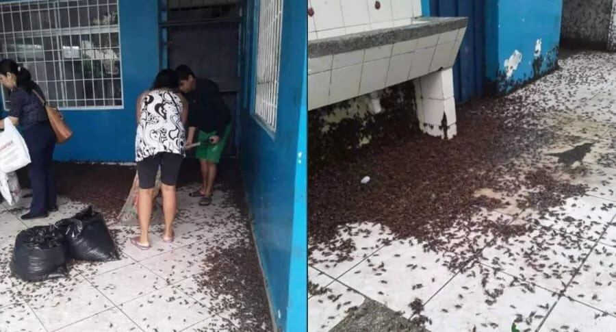 Distritos de San José, Motupe, Pimentel, Olmos, Oyotún y Chongoyape, entre los más afectados.