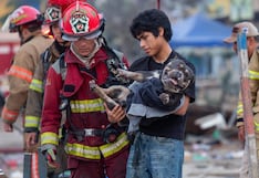 Rescatan con vida a perrito tras incendio en inmueble de Ate (GALERÍA)