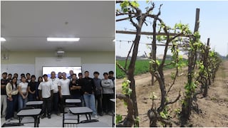 Ica: Senamhi estudia efectos del cambio climático en los viñedos de vid