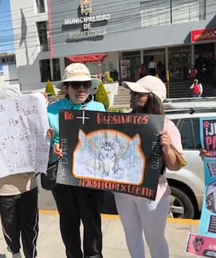 Protestan por perrita hallada agonizando en contenedor de basura en Arequipa