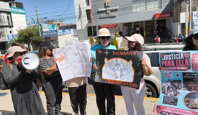 Protestan por perrita hallada agonizando en contenedor de basura en Arequipa
