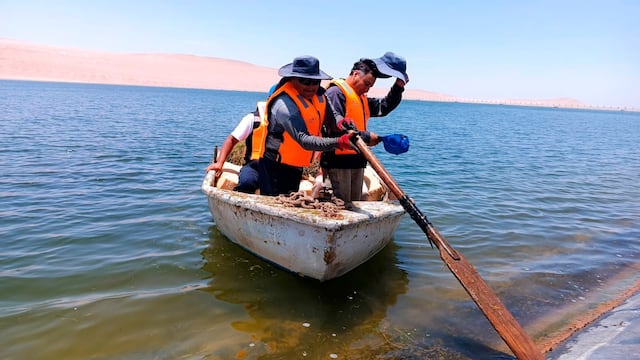 Trabajador del Proyecto Especial Tacna se encuentra grave tras caer en reservorio