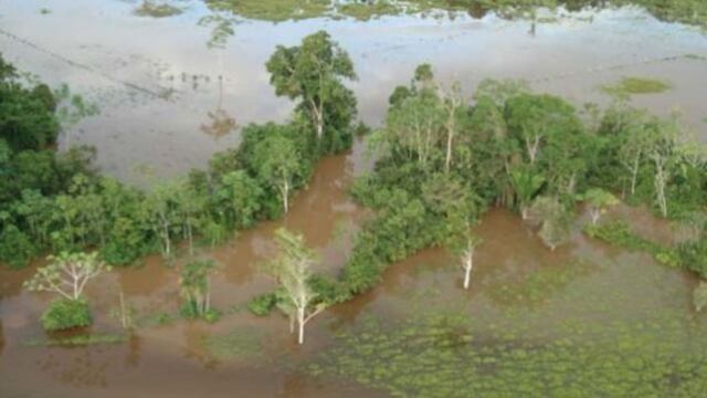 Aguas del río Napo aumentan y varias localidades podría ser afectadas de Loreto