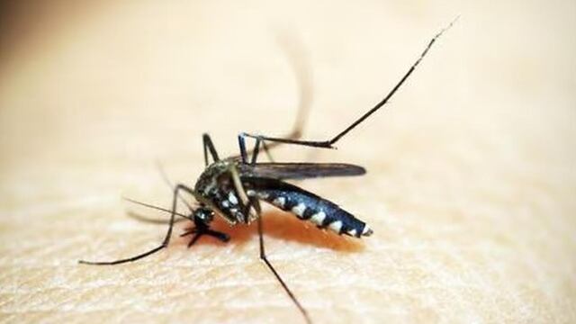 La Libertad: Más de 6 mil niños han contraído dengue en lo que va del año 