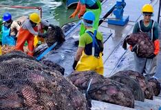 Piura: Pescadores podrán registrarse en la Direpro para extraer concha de abanico