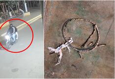 Nasca: cámara de seguridad registró ataque con explosivo contra medio de comunicación IDS TV