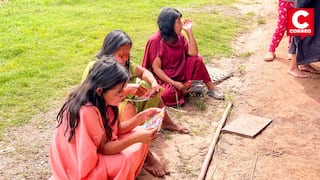 Pangoa: Refuerzan cerco sanitario y protegen a más de 2 mil pobladores contra la malaria