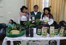 Café huancavelicano conquista al mundo pese al olvido estatal